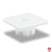 1GANG ZIGBEE REMOTE SWITCH
